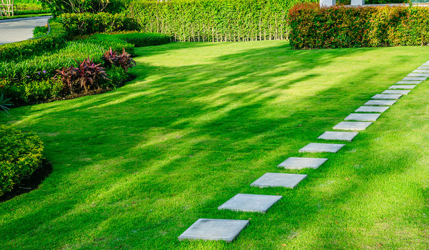 🌿 Garden Design, Lawn Maintenance & Office Plant Leasing Services Your outdoor and indoor environments are the first thing visitors see—and the last thing they remember. A well-maintained garden, lush green office, or beautiful landscaping communicates care, attention to detail, and environmental responsibility.  Noma Care Limited offers comprehensive landscaping services in Nairobi, lawn maintenance, and indoor office plants management that transform your space into a thriving, refreshing environment.